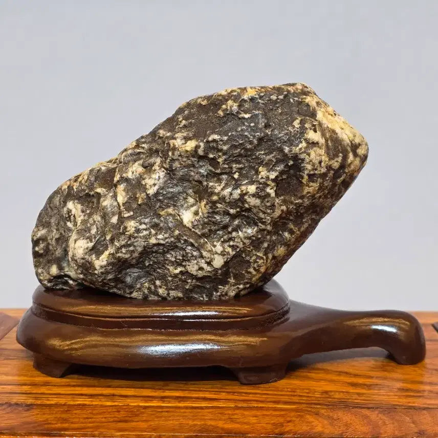 [BUNJANG] Geumgang Leopard Stone Suiseki / 26050235 금강 호피석 수석 팝니다