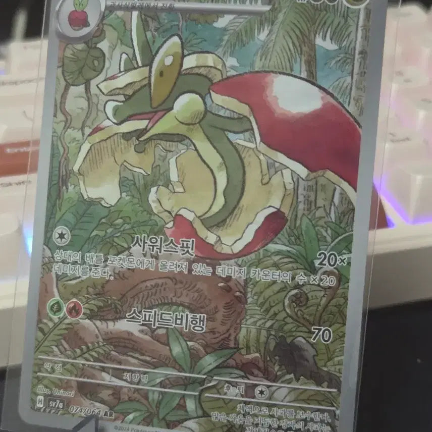 [BUNJANG] Pokemon Card Afreom AR / 포켓몬카드 애프룡 ar