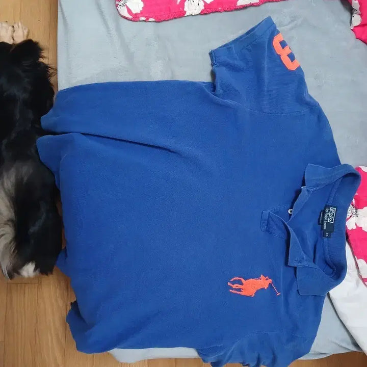 [BUNJANG] Polo Ralph Lauren Blue &