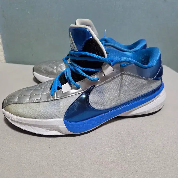 [BUNJANG] Nike Zoom Freak 5 Basketball Shoes Size 285 / 나이키 줌프릭5 285사이즈 (교환 가능)