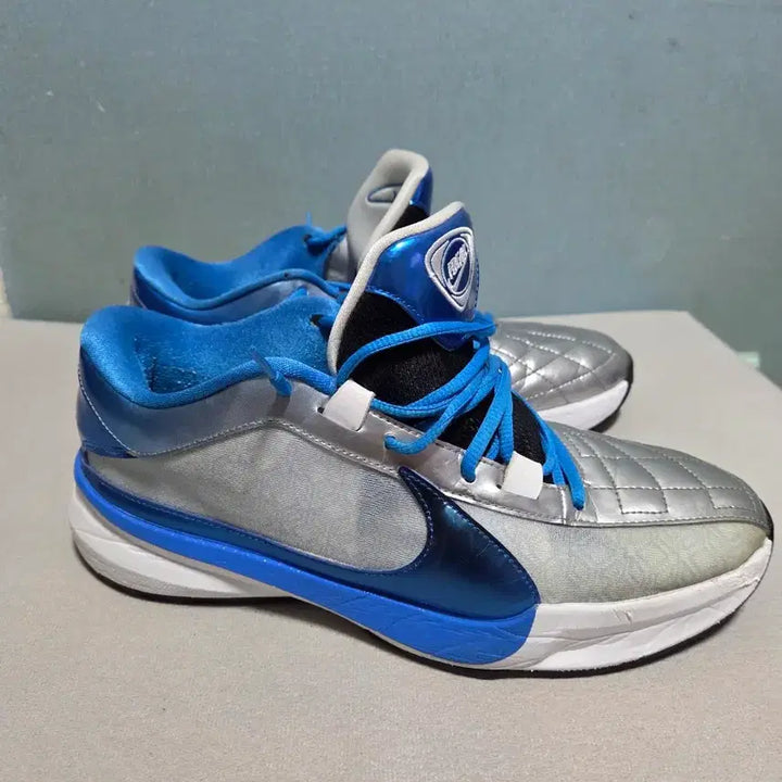 [BUNJANG] Nike Zoom Freak 5 Basketball Shoes Size 285 / 나이키 줌프릭5 285사이즈 (교환 가능)