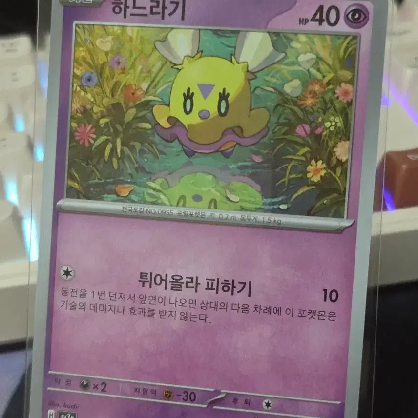 [BUNJANG] Pokemon Card Game - Special Set (Korean) / 포켓몬카드 하느라기