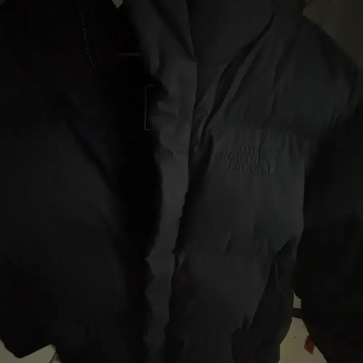 [BUNJANG] The North Face Padded Jacket / 노스페이스 패딩 급처