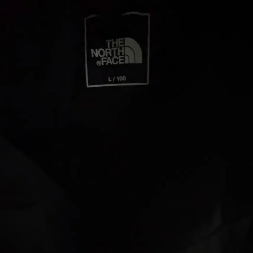 [BUNJANG] The North Face Padded Jacket / 노스페이스 패딩 급처