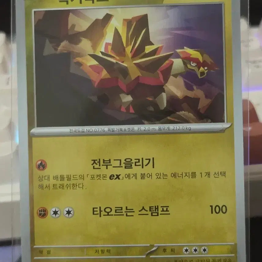 [BUNJANG] Pokemon Card Torkoal / 포켓몬카드 폭거북스