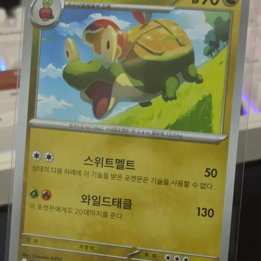 [BUNJANG] Pokemon Card Danji Raffle / 포켓몬카드 단지래플