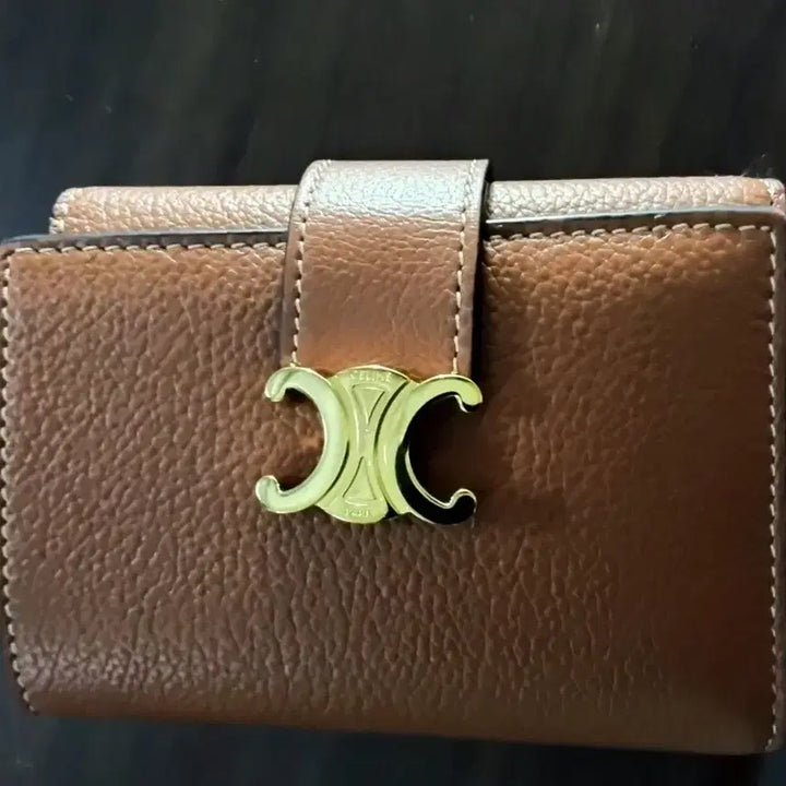 [BUNJANG] Celine Victoire Wallet - Smooth Calfskin / 정품 셀린느 CELINE 빅투아르 파인 지갑 - 서플 카프스킨