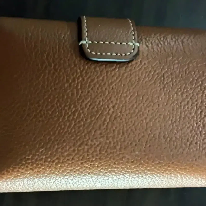[BUNJANG] Celine Victoire Wallet - Smooth Calfskin / 정품 셀린느 CELINE 빅투아르 파인 지갑 - 서플 카프스킨