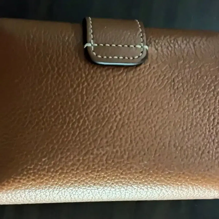 [BUNJANG] Celine Victoire Wallet - Smooth Calfskin / 정품 셀린느 CELINE 빅투아르 파인 지갑 - 서플 카프스킨