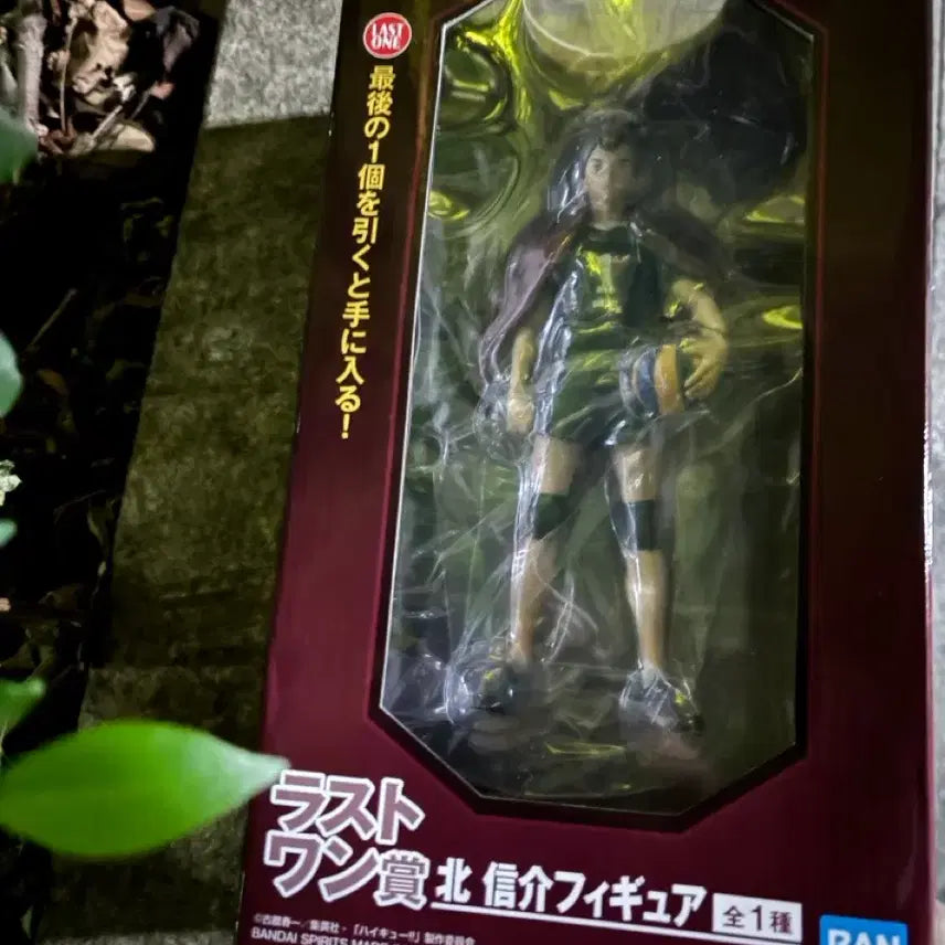 [BUNJANG] Haikyuu!! Ichiban Kuji Kitashinsuke Last One Prize Figure / 하이큐 제일복권 쿠지 키타 신스케 라스트원 피규어 판매해요