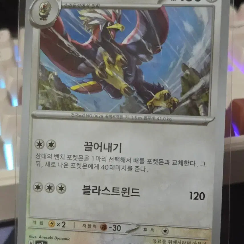 [BUNJANG] Pokemon Card: Wugtrio / 포켓몬카드 워글