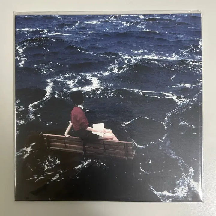 [BUNJANG] Say Sue Yeon Bi-Jeok-Eung LP (Sealed) / 새소년 비적응 lp (미개봉)