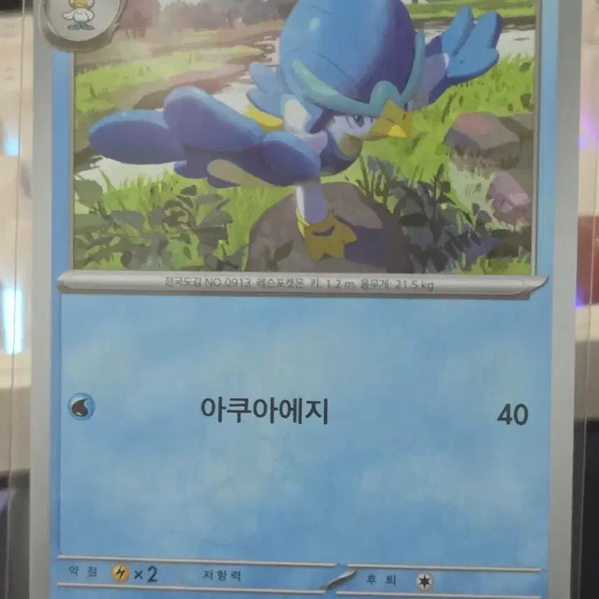 [BUNJANG] Pokemon Card Akkuwak / 포켓몬카드 아꾸왁