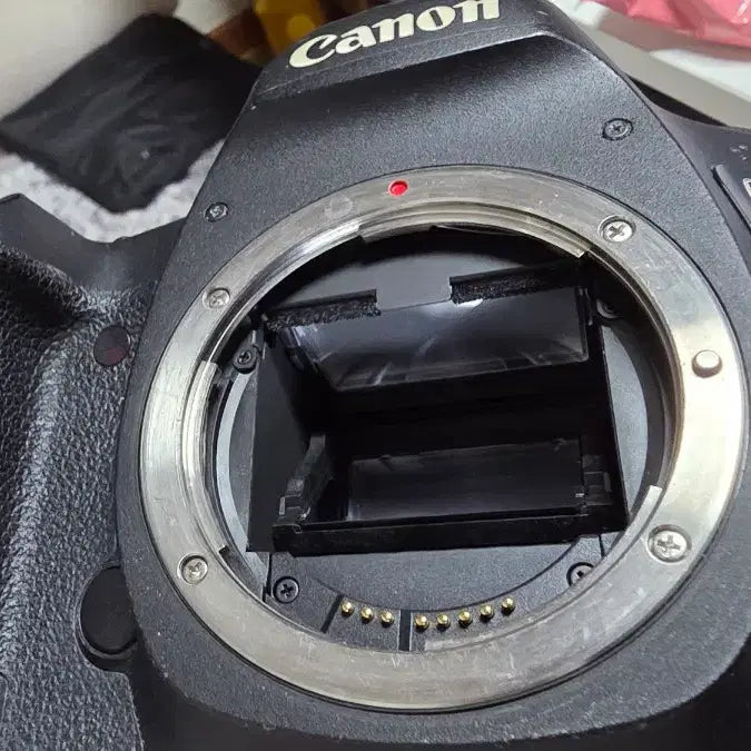 [BUNJANG] Canon 5D Mark III Body / 캐논 5D mark3 바디 팝니다