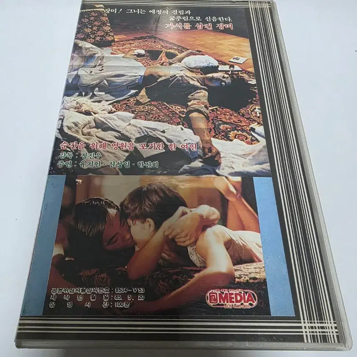 [BUNJANG] 1985 Rose Swallowing Thorn / 85년 가시를 삼킨장미