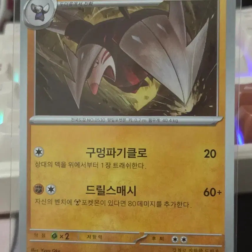 [BUNJANG] Pokemon Card Moldew / 포켓몬카드 몰드류