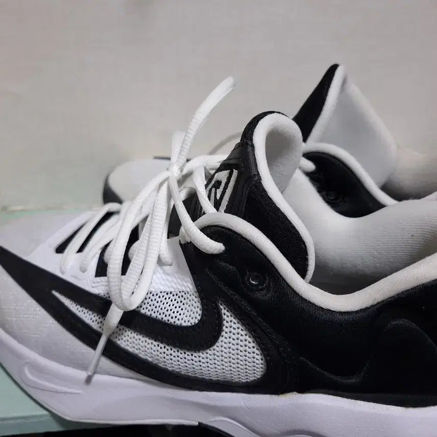 [BUNJANG] Nike Giannis Immortality Basketball Shoes / 나이키 야니스 이모탈리티 농구화