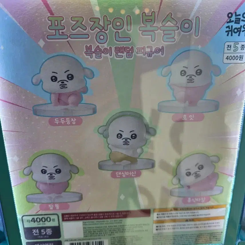 [BUNJANG] Boksslee Full Set Figure / 복슬이 피규어 풀세트 팝니다
