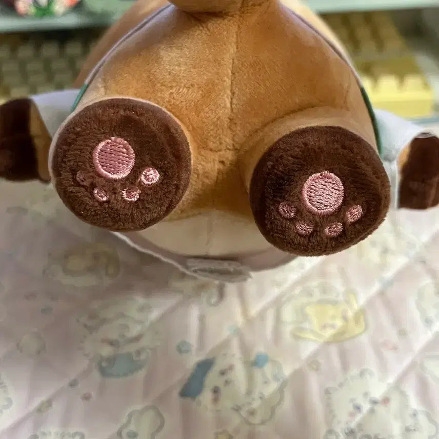 [BUNJANG] Haikyuu!! Matsukawa Issei Fox-Flavored Matcha 25cm Plush / 하이큐 마츠카와 잇세이 속성 여우맛층 25cm 솜인형