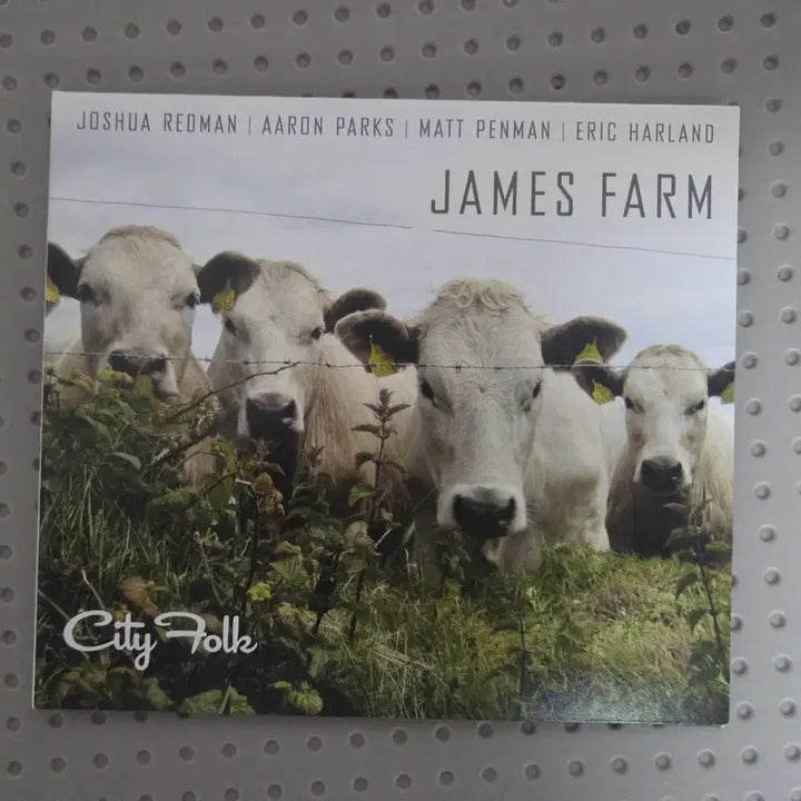 [BUNJANG] James Farm City Japanese Edition CD / 일본반 제임스 팜 CD 음반 City