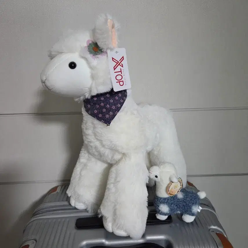 [BUNJANG] XTOP White Alpaca Plush Toy / XTOP 흰색 알파카 인형