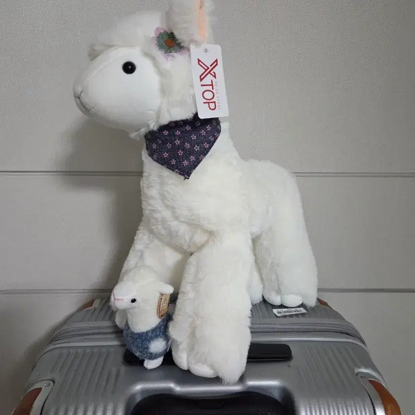 [BUNJANG] XTOP White Alpaca Plush Toy / XTOP 흰색 알파카 인형