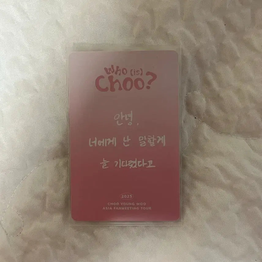 [BUNJANG] Choo Young Woo Photocard Holder Set / 추영우 포카홀더 세트