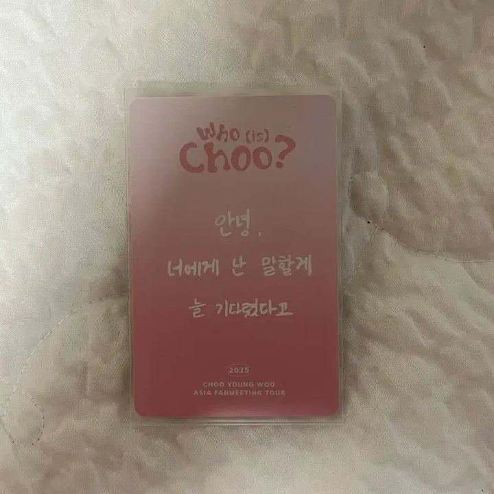 [BUNJANG] Choo Young Woo Photocard Holder Set / 추영우 포카홀더 세트
