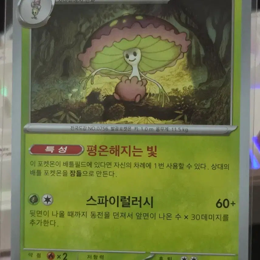 [BUNJANG] Pokemon Card Masher / 포켓몬카드 마셰이드