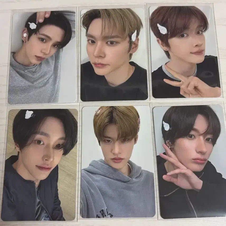 [SOLD OUT] 라이즈 시그