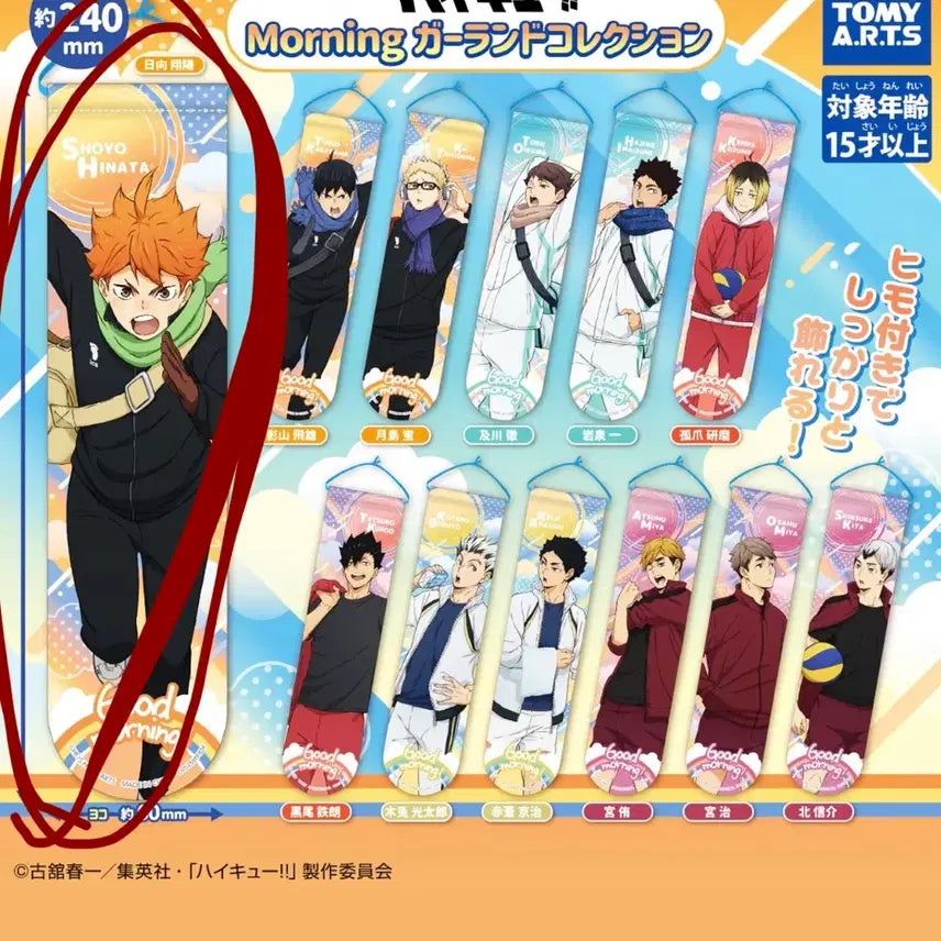 [BUNJANG] Haikyuu!! Morning Garland Hinata / 하이큐 모닝가랜드 히나타