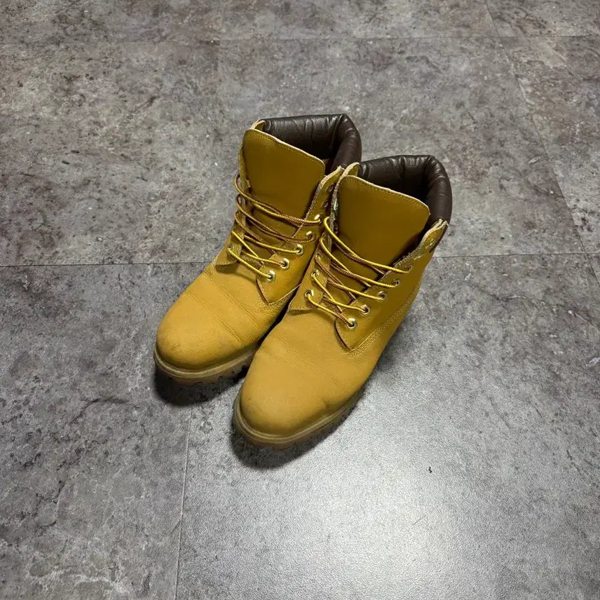 [BUNJANG] Timberland 6-Inch Boots / 팀버랜드 6인치 255