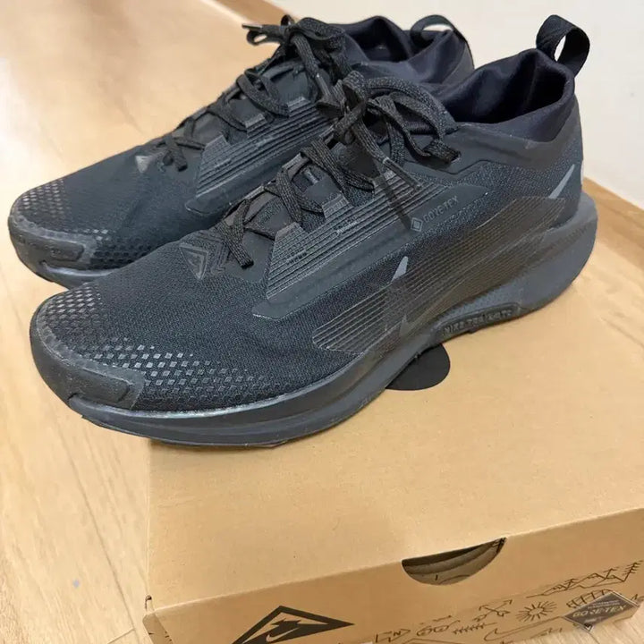 [BUNJANG] Nike Pegasus Trail 5 GTX Men&