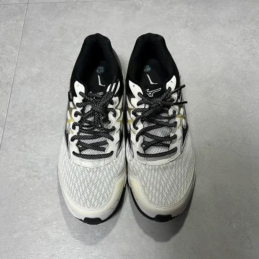[BUNJANG] Mizuno Wave Cadence Gore-Tex Golf Shoes (255) / [255] 미즈노 웨이브 케이던스 고어텍스 골프화
