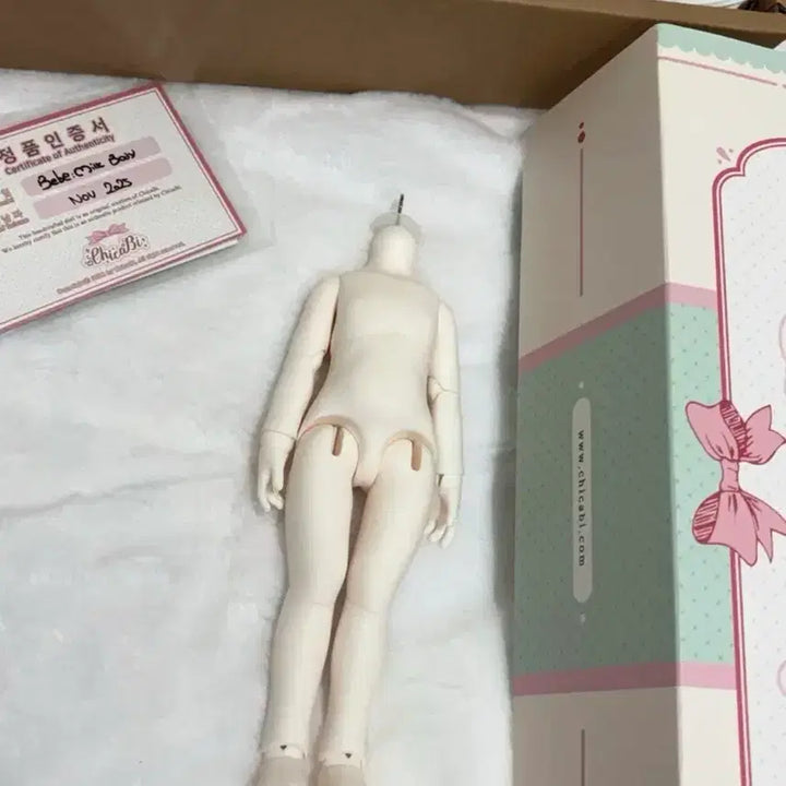 [BUNJANG] ChikaB 27 Body MSD Whitening Body / 급처)치카비 27바디 미백 usd 구체관절인형