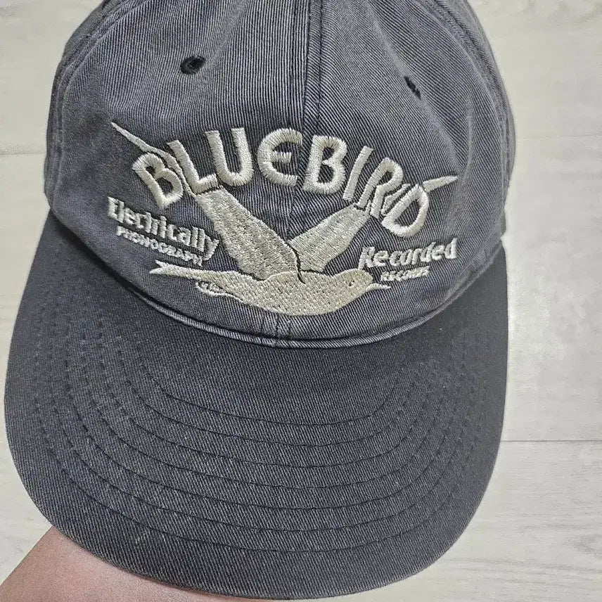 [BUNJANG] Donut Revenge Bluebird Cap / 도넛리벤지 블루버드 캡