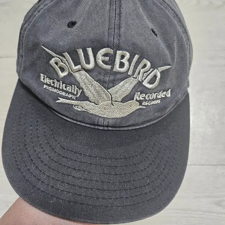 [BUNJANG] Donut Revenge Bluebird Cap / 도넛리벤지 블루버드 캡