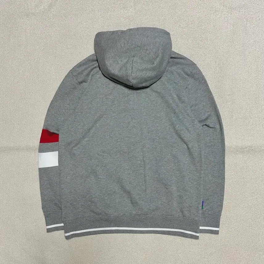 [BUNJANG] Hazzys Color Block Hooded T-Shirt / 헤지스 컬러블록 후드티셔츠