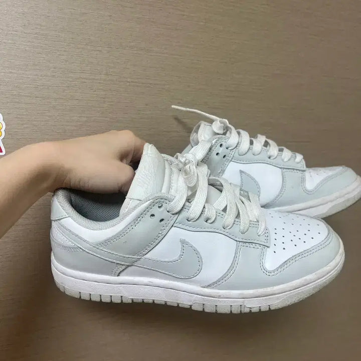 [BUNJANG] Nike Dunk Low Photon Dust 220 / 나이키 덩크 로우 포톤 더스트 220