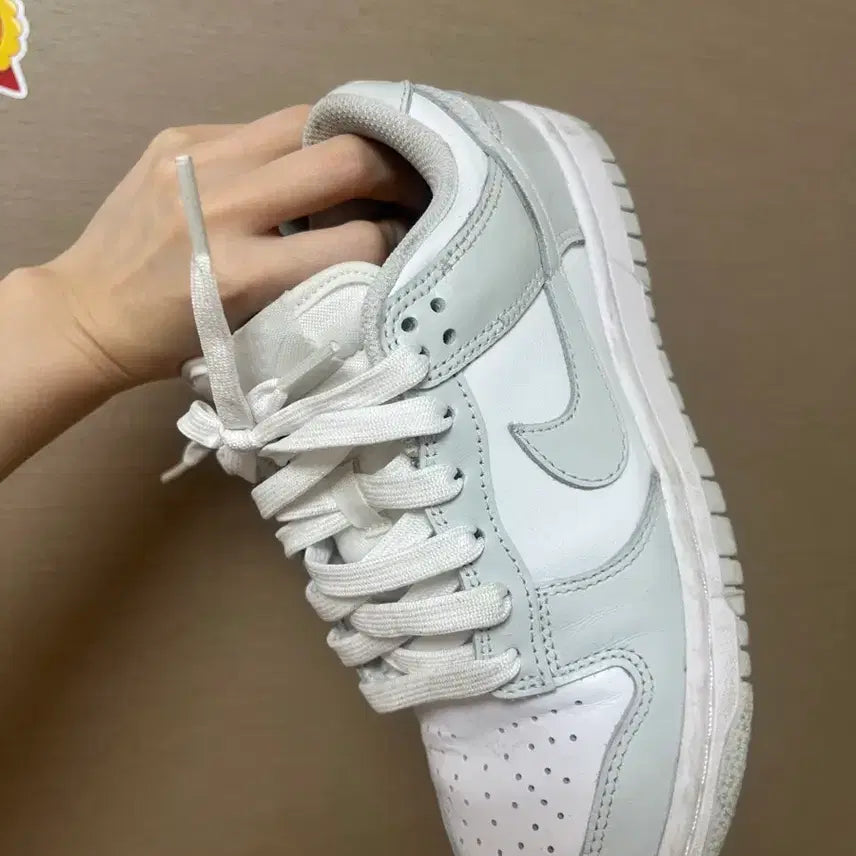 [BUNJANG] Nike Dunk Low Photon Dust 220 / 나이키 덩크 로우 포톤 더스트 220