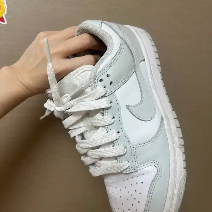 [BUNJANG] Nike Dunk Low Photon Dust 220 / 나이키 덩크 로우 포톤 더스트 220