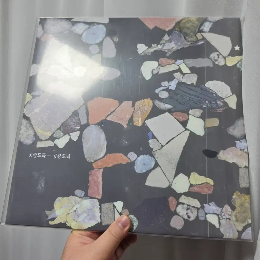 [BUNJANG] Gongjoong Doduk Gongjoong Doduk Unsealed LP / 공중도둑 공중도덕 개봉 lp