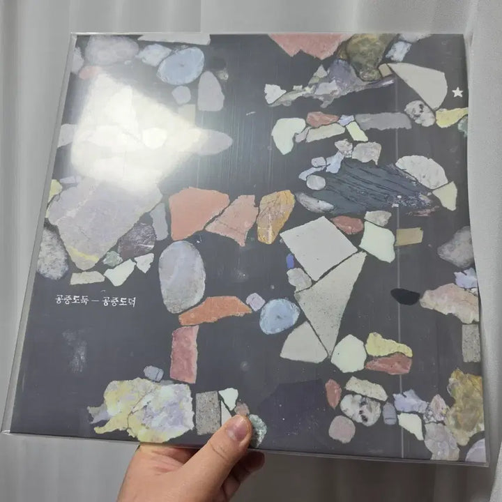 [BUNJANG] Gongjoong Doduk Gongjoong Doduk Unsealed LP / 공중도둑 공중도덕 개봉 lp
