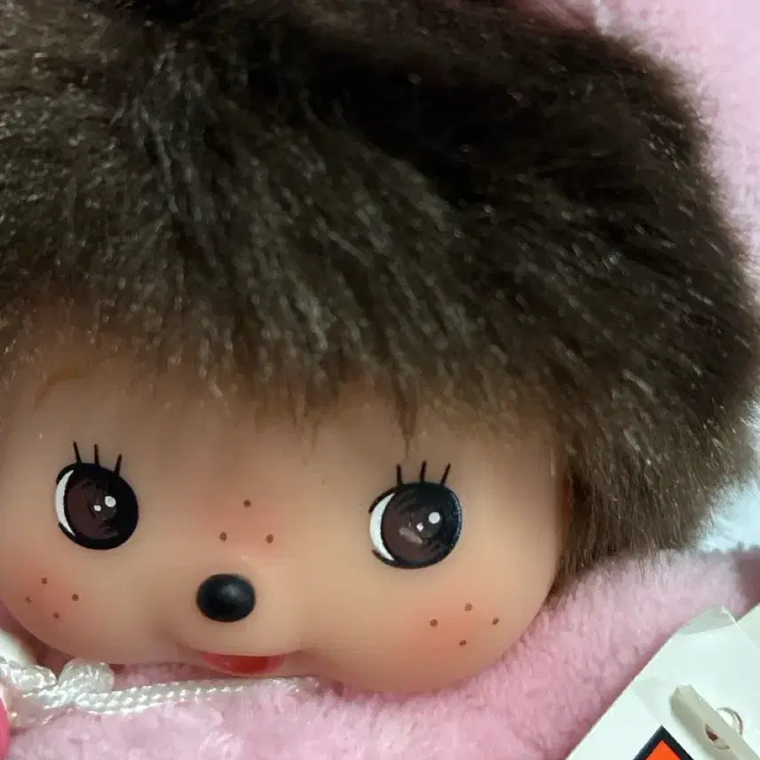 [BUNJANG] Animal Rabbit Bebichichi Plush / 애니멀 토끼 베비치치
