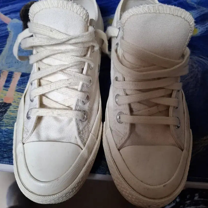 [BUNJANG] Comme des Garçons Canvas Low-Top Sneakers / 꼼데가르송 캔버스로우탑 스니커즈