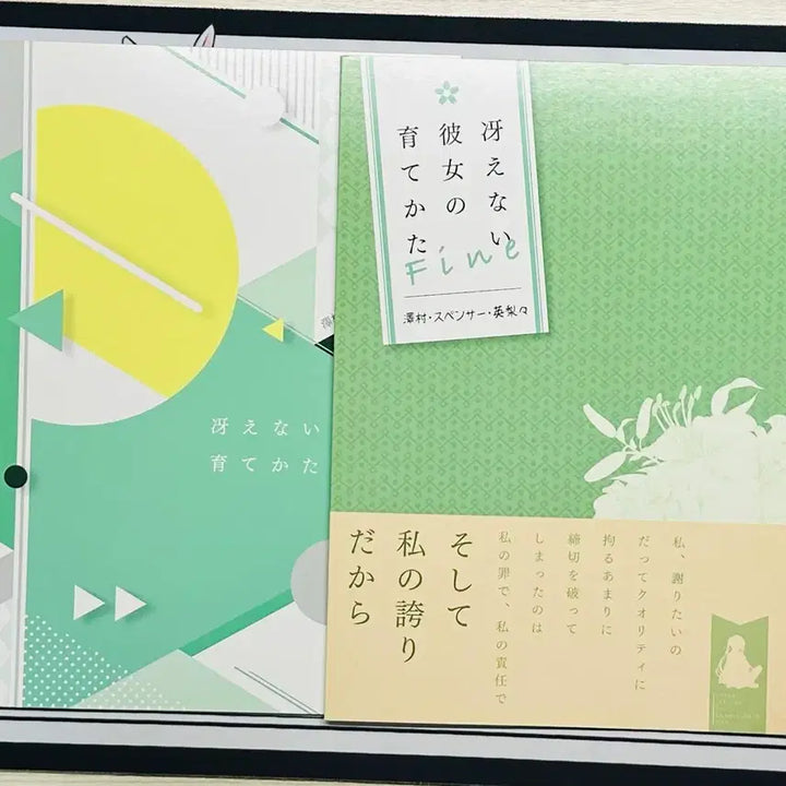[BUNJANG] Ichiban Kuji Saekano Eriri Illustration Book Set / 이치방쿠지 사에카노 에리리 일러스트북 2종세트