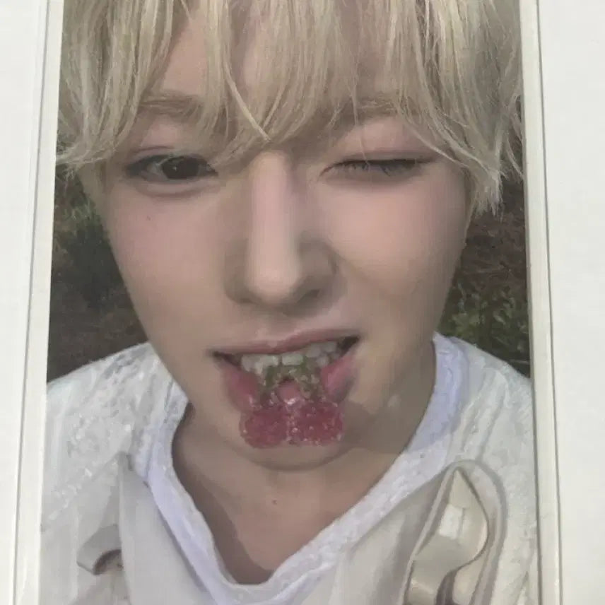 [BUNJANG] NCT WISH Sakuya Bixx Mini / 엔시티위시 사쿠야 포카 빅스미니 엔시티위시 포카 엠디 위츄 팝츄 급처