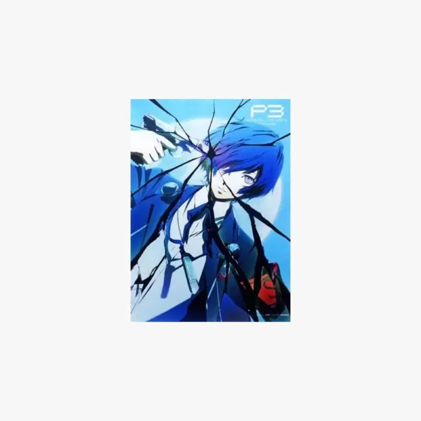 [BUNJANG] Persona 3 Makoto B3 Tapestry / 페르소나 3 마코토 B3 태피스트리