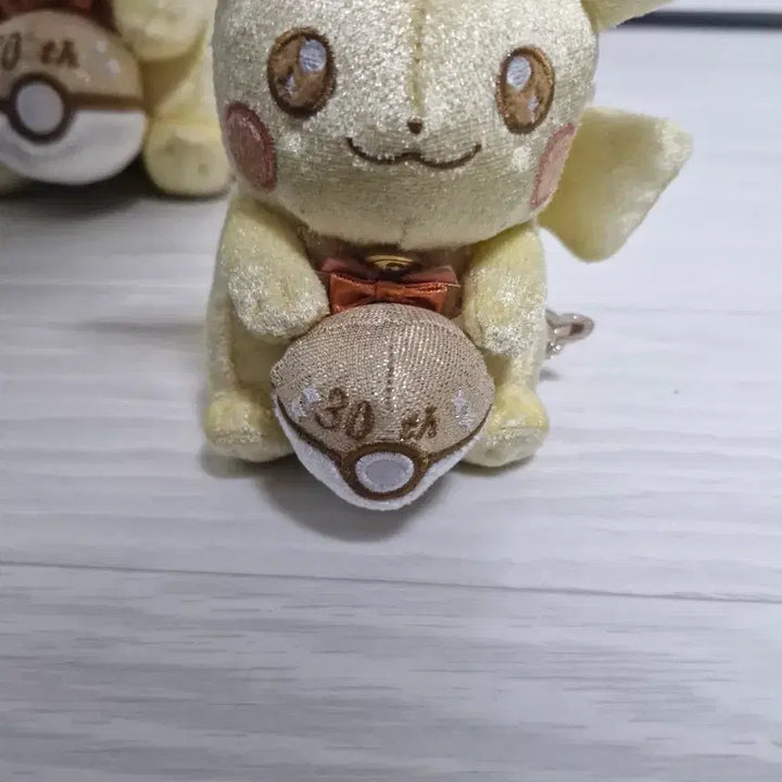[BUNJANG] Pokemon 30th Anniversary Seongsu Pop-up Store Goods Set / 포켓몬스터 30주년 성수 팝업 4종 급처