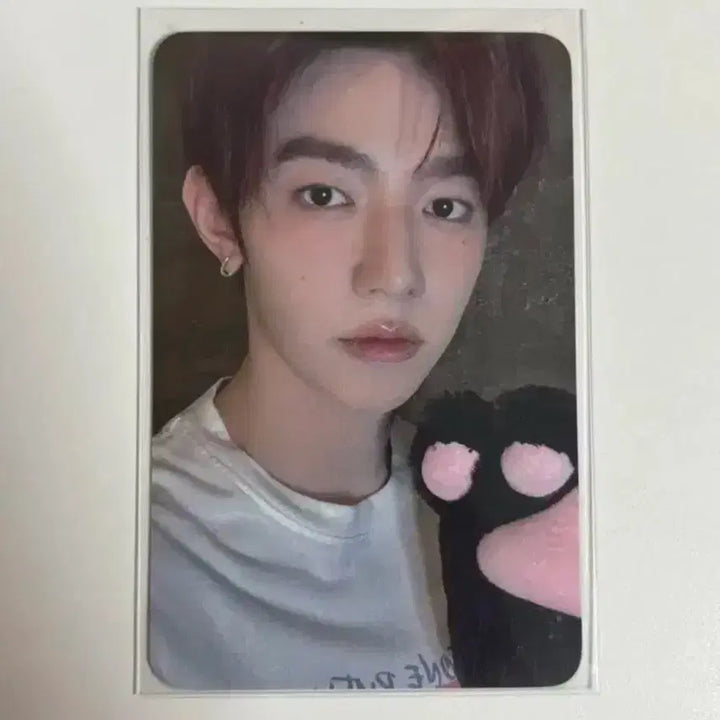 [SOLD OUT] [BUNJANG] ZEROBASEONE World Tour Here&amp;Now Encore Zerose Zone Zhang Hao Photocard / 제로베이스원 월드투어 Here&amp;Now 막콘 제로즈존 장하오 포카